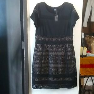 Woman's 👗 Dress By Candalite